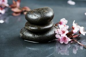 cherry blossoms and black hot stone on wet background. Hot stone massage setting . Beauty spa